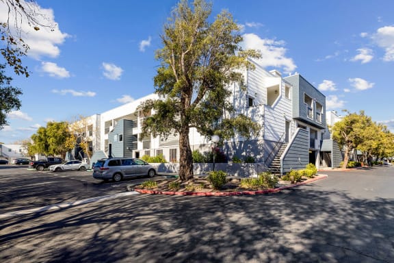 Apartments In Hilltop Ca